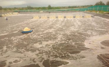 vi-sinh-pro-tn-xu-ly-nh3-no2-h2s